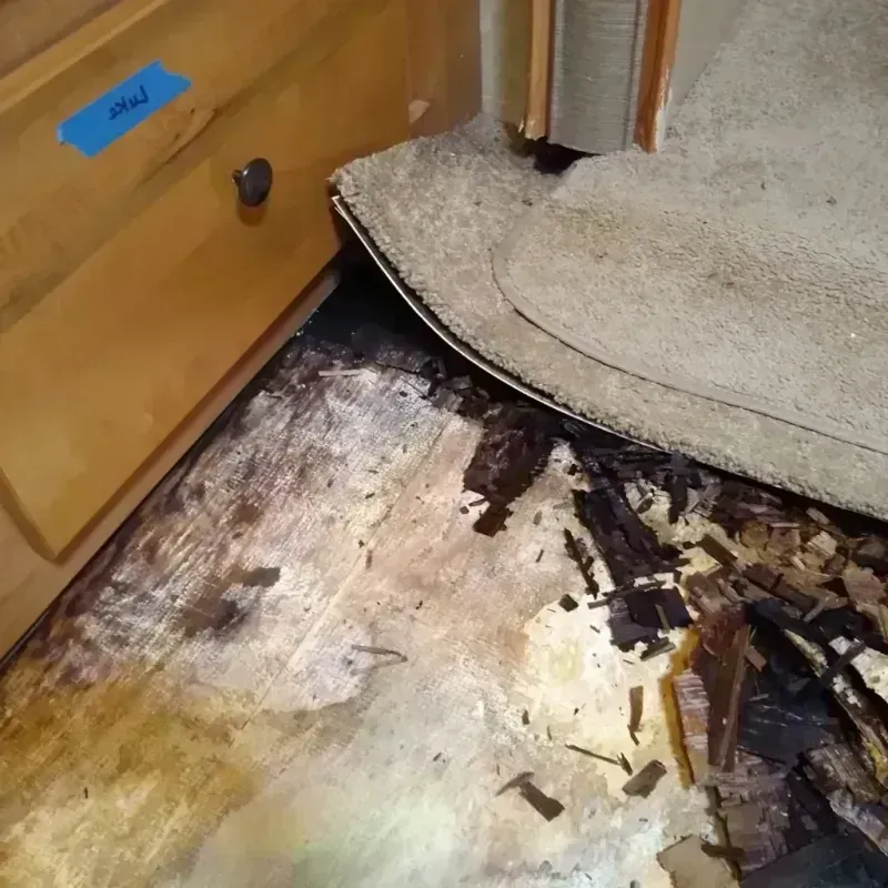 Wood Floor Water Damage in Orlovista, FL